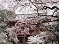 醍醐寺：太閤花見行列